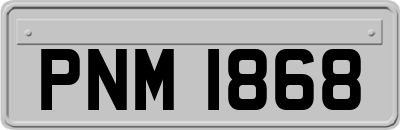 PNM1868