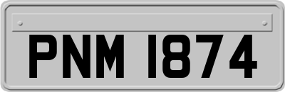 PNM1874