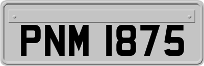 PNM1875