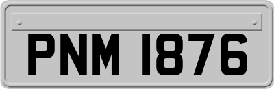 PNM1876