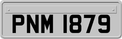 PNM1879