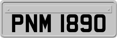 PNM1890