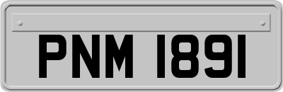 PNM1891
