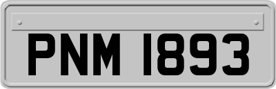 PNM1893