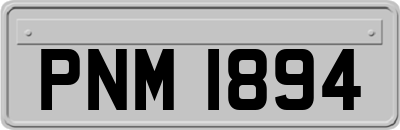 PNM1894