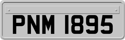 PNM1895