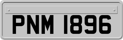 PNM1896