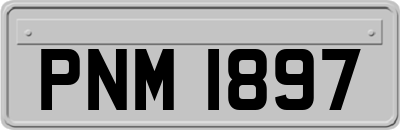 PNM1897