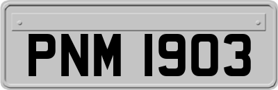 PNM1903