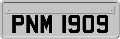 PNM1909