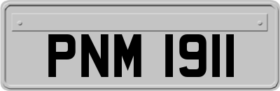 PNM1911