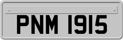 PNM1915