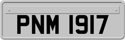 PNM1917