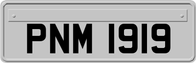 PNM1919