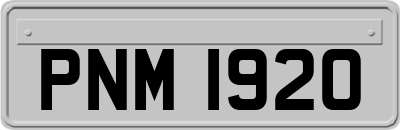 PNM1920