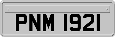 PNM1921