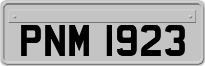 PNM1923