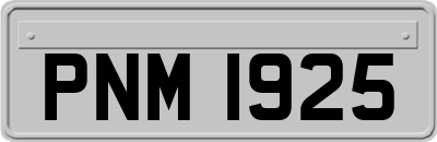 PNM1925