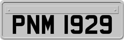 PNM1929