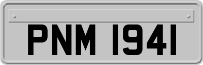 PNM1941