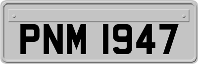 PNM1947