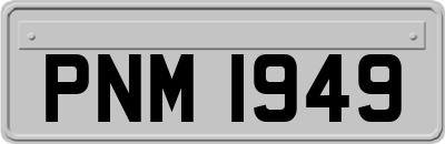 PNM1949