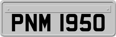 PNM1950