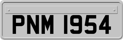 PNM1954