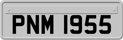 PNM1955