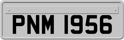PNM1956