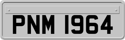 PNM1964