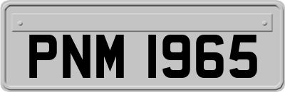 PNM1965