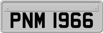 PNM1966