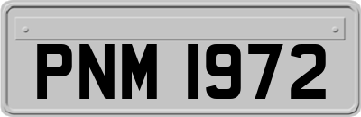 PNM1972