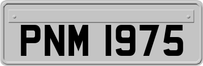 PNM1975