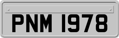 PNM1978