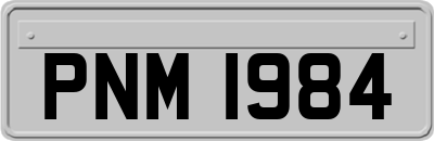 PNM1984