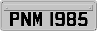 PNM1985
