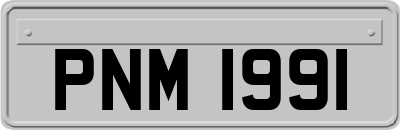 PNM1991