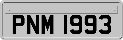 PNM1993
