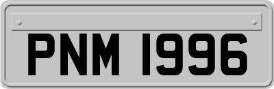PNM1996