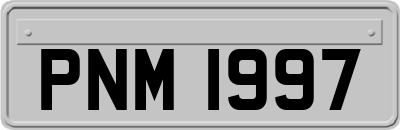 PNM1997