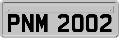 PNM2002