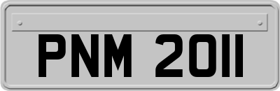 PNM2011