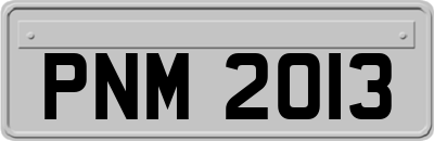PNM2013