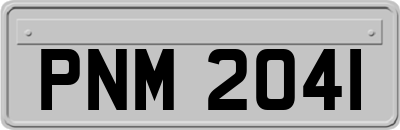 PNM2041