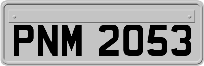 PNM2053