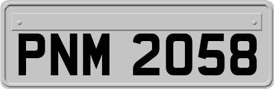 PNM2058