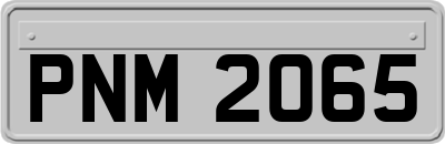PNM2065