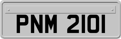 PNM2101